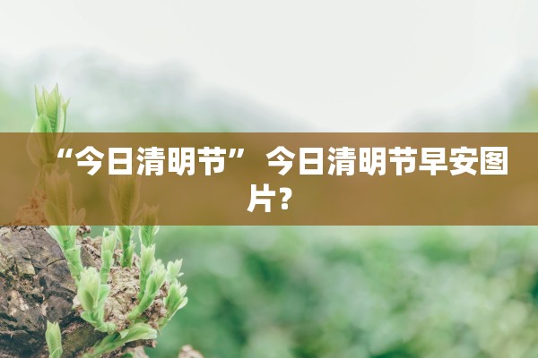 “今日清明节	” 今日清明节早安图片？