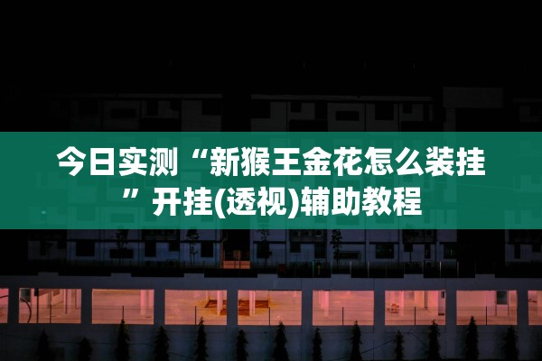 今日实测“新猴王金花怎么装挂”开挂(透视)辅助教程