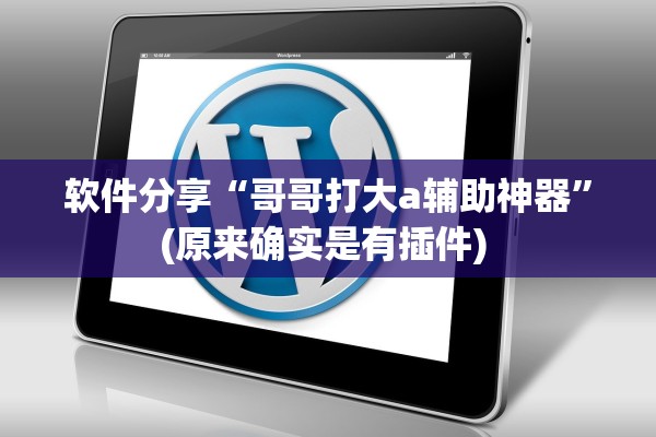 软件分享“哥哥打大a辅助神器”(原来确实是有插件) 
