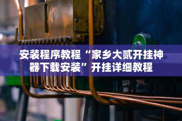 安装程序教程“家乡大贰开挂神器下载安装”开挂详细教程