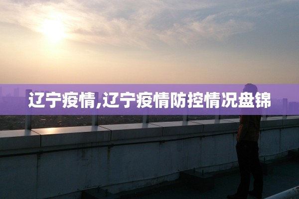 辽宁疫情,辽宁疫情防控情况盘锦