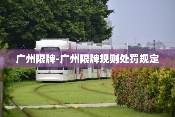 广州限牌-广州限牌规则处罚规定
