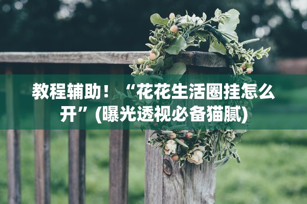 教程辅助！“花花生活圈挂怎么开”(曝光透视必备猫腻)