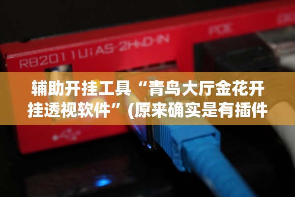 辅助开挂工具“青鸟大厅金花开挂透视软件”(原来确实是有插件)