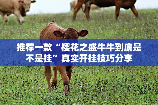 推荐一款“樱花之盛牛牛到底是不是挂	”真实开挂技巧分享