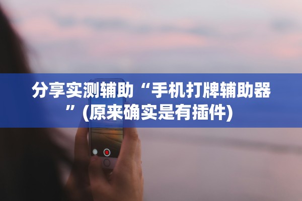 分享实测辅助“手机打牌辅助器”(原来确实是有插件) 