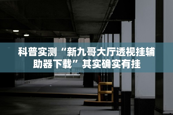 科普实测“新九哥大厅透视挂辅助器下载”其实确实有挂