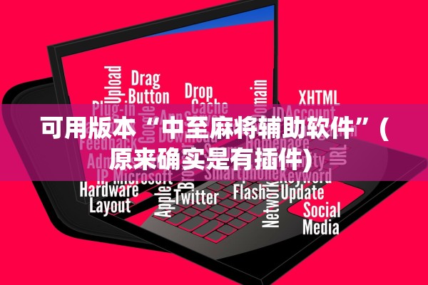 可用版本“中至麻将辅助软件”(原来确实是有插件) 