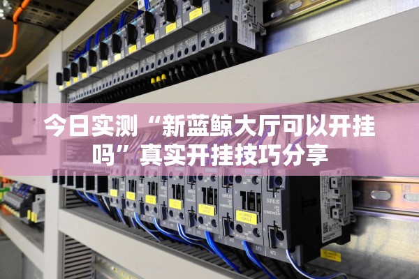 今日实测“新蓝鲸大厅可以开挂吗”真实开挂技巧分享