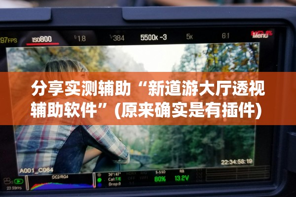分享实测辅助“新道游大厅透视辅助软件	”(原来确实是有插件) 