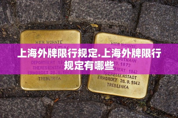 上海外牌限行规定.上海外牌限行规定有哪些