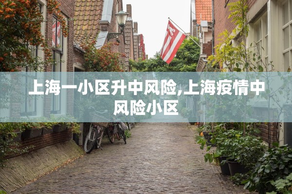 上海一小区升中风险,上海疫情中风险小区