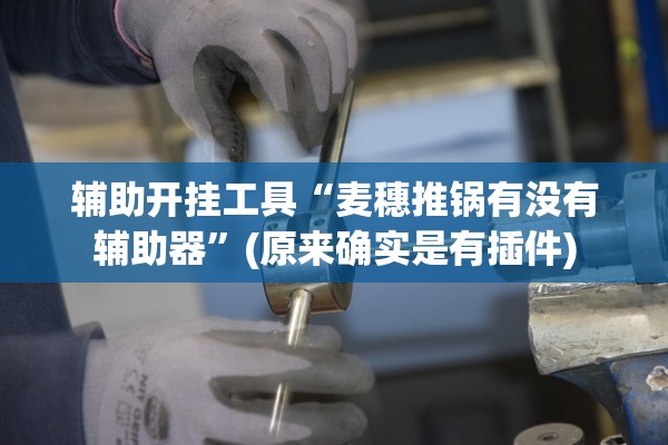 辅助开挂工具“麦穗推锅有没有辅助器”(原来确实是有插件)