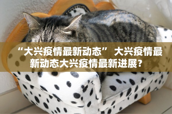 “大兴疫情最新动态” 大兴疫情最新动态大兴疫情最新进展？