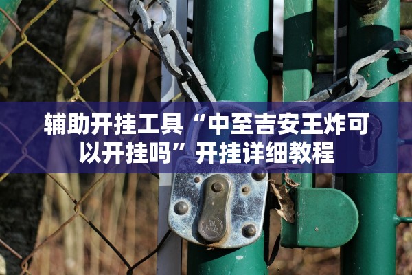 辅助开挂工具“中至吉安王炸可以开挂吗”开挂详细教程