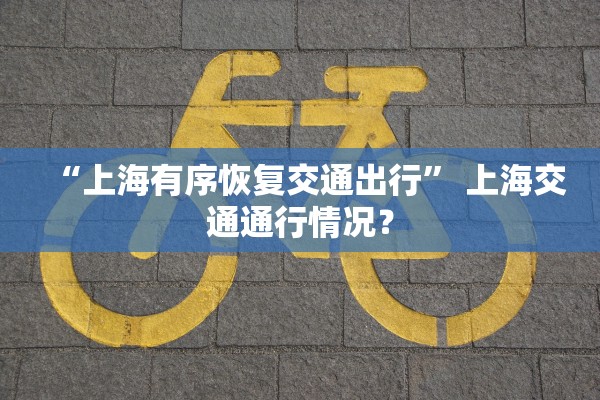 “上海有序恢复交通出行” 上海交通通行情况？