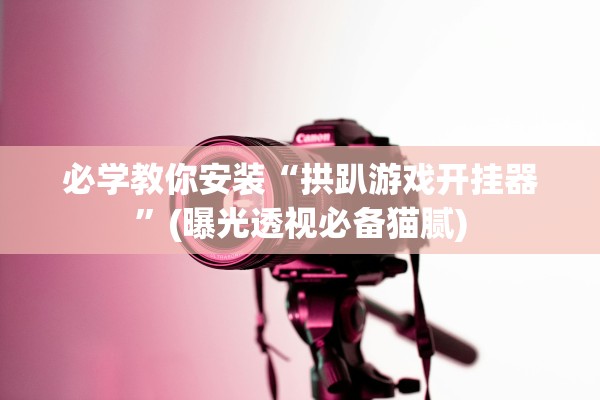 必学教你安装“拱趴游戏开挂器	”(曝光透视必备猫腻)