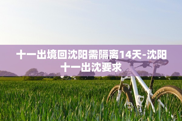 十一出境回沈阳需隔离14天-沈阳十一出沈要求