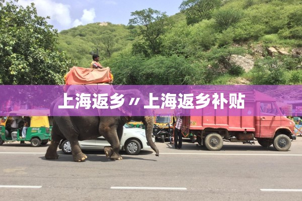 上海返乡〃上海返乡补贴
