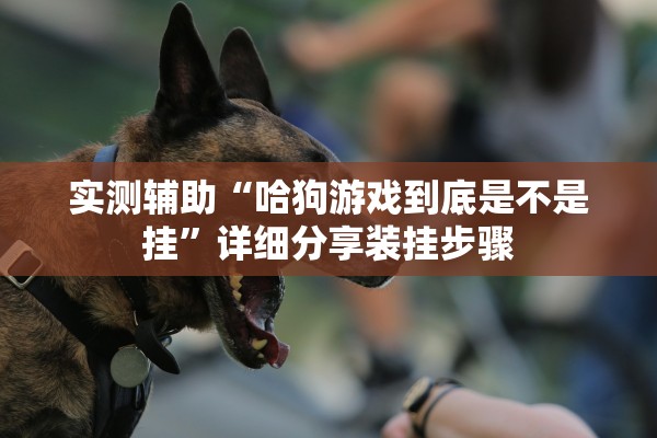 实测辅助“哈狗游戏到底是不是挂	”详细分享装挂步骤