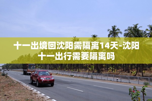 十一出境回沈阳需隔离14天-沈阳十一出行需要隔离吗