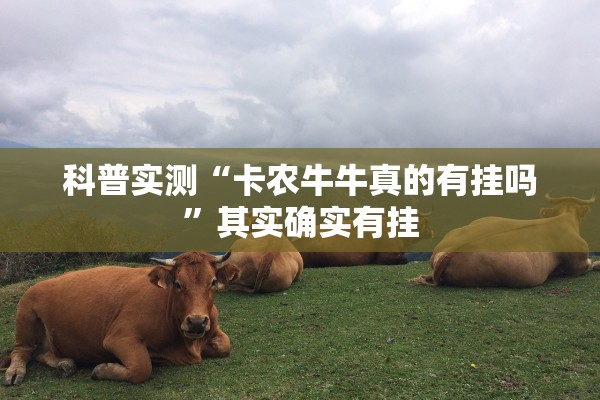 科普实测“卡农牛牛真的有挂吗”其实确实有挂