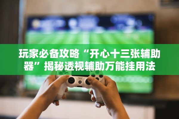 玩家必备攻略“开心十三张辅助器	”揭秘透视辅助万能挂用法