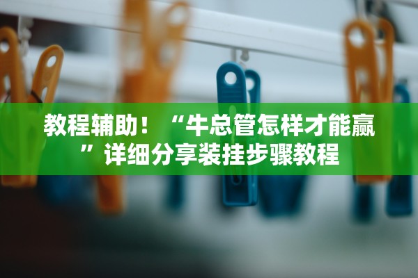 教程辅助！“牛总管怎样才能赢”详细分享装挂步骤教程