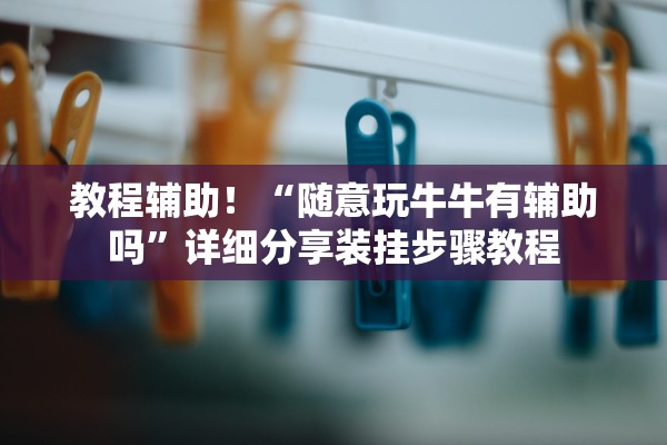 教程辅助！“随意玩牛牛有辅助吗”详细分享装挂步骤教程