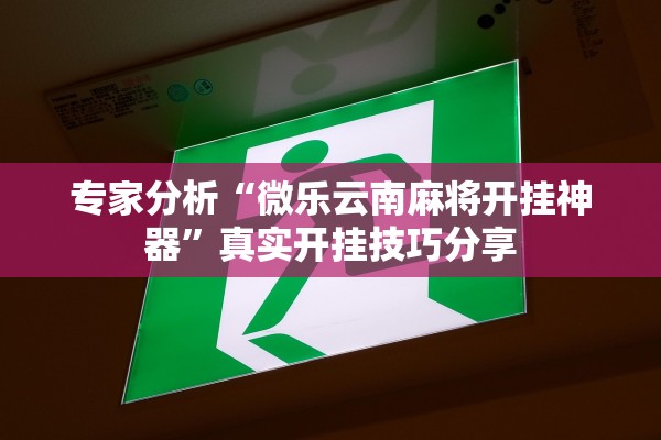 专家分析“微乐云南麻将开挂神器”真实开挂技巧分享