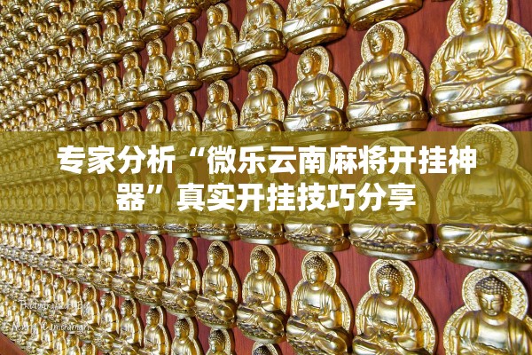 专家分析“微乐云南麻将开挂神器”真实开挂技巧分享