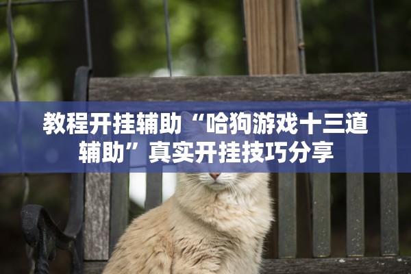 教程开挂辅助“哈狗游戏十三道辅助”真实开挂技巧分享