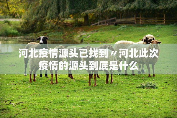 河北疫情源头已找到〃河北此次疫情的源头到底是什么
