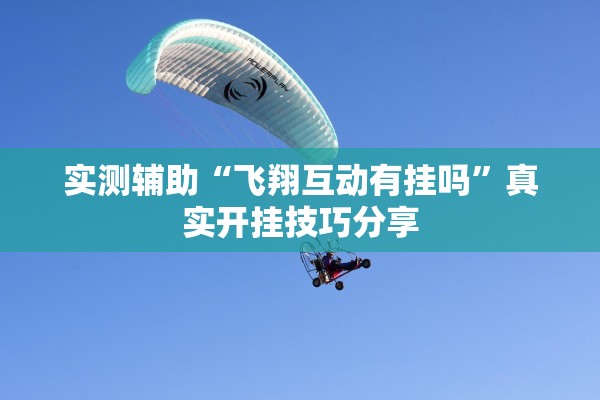 实测辅助“飞翔互动有挂吗”真实开挂技巧分享