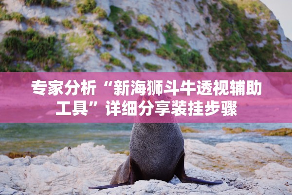 专家分析“新海狮斗牛透视辅助工具	”详细分享装挂步骤