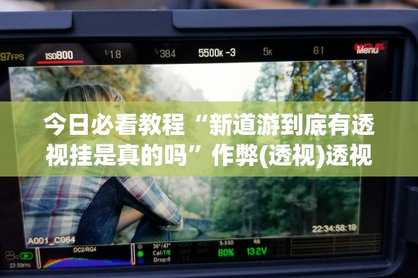 今日必看教程“新道游到底有透视挂是真的吗”作弊(透视)透视辅助 