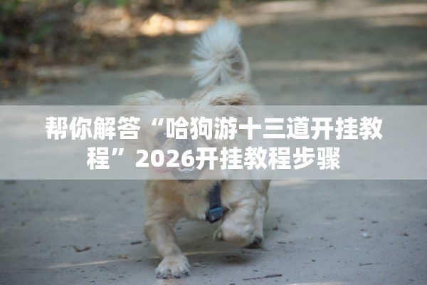 帮你解答“哈狗游十三道开挂教程	”2026开挂教程步骤