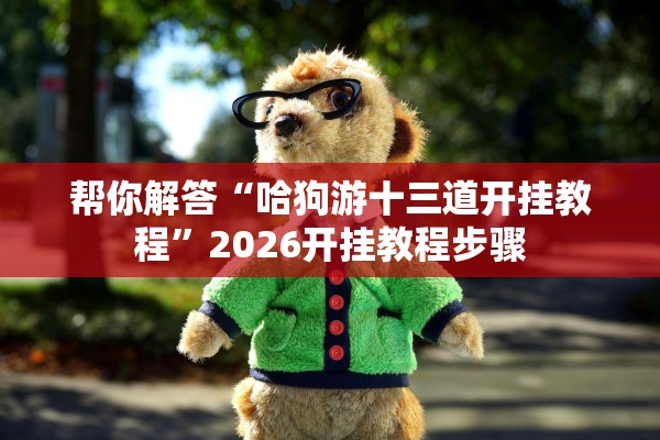 帮你解答“哈狗游十三道开挂教程”2026开挂教程步骤
