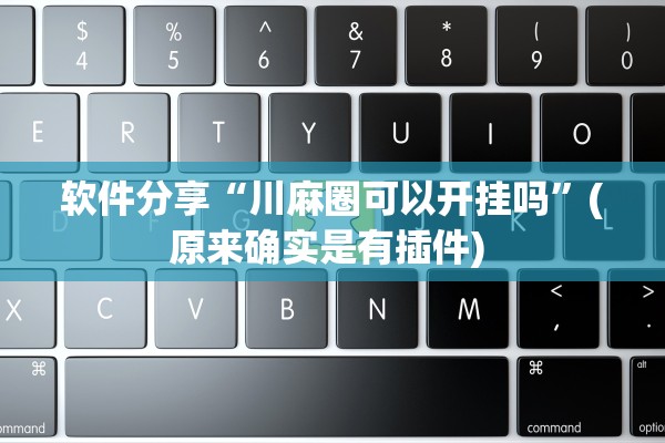 软件分享“川麻圈可以开挂吗”(原来确实是有插件) 