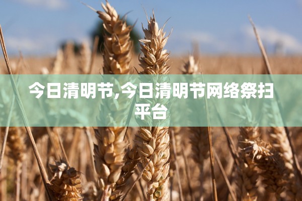 今日清明节,今日清明节网络祭扫平台