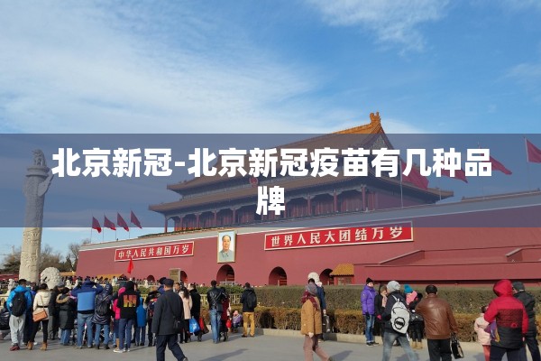 北京新冠-北京新冠疫苗有几种品牌