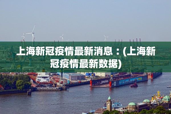 上海新冠疫情最新消息︰(上海新冠疫情最新数据)