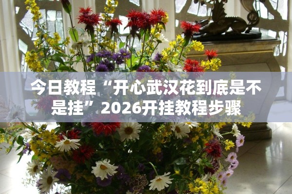 今日教程“开心武汉花到底是不是挂”2026开挂教程步骤