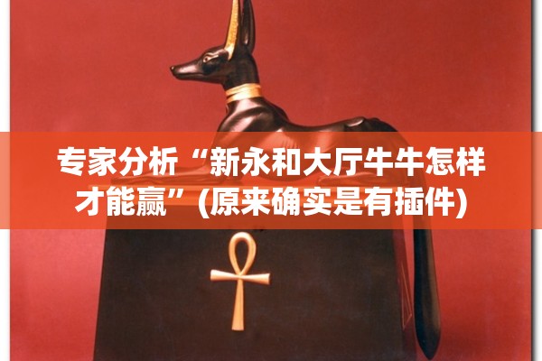 专家分析“新永和大厅牛牛怎样才能赢”(原来确实是有插件)