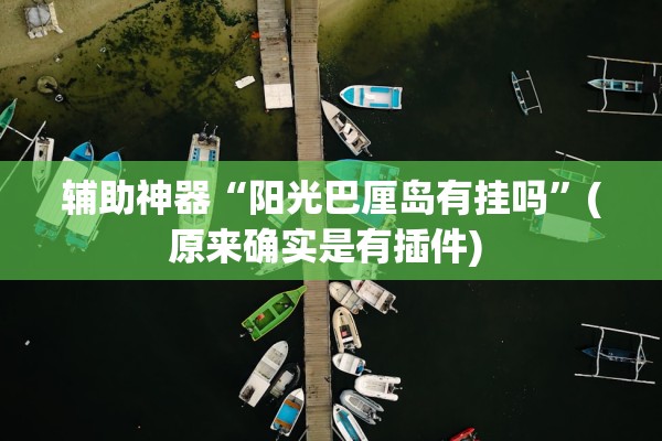 辅助神器“阳光巴厘岛有挂吗	”(原来确实是有插件) 
