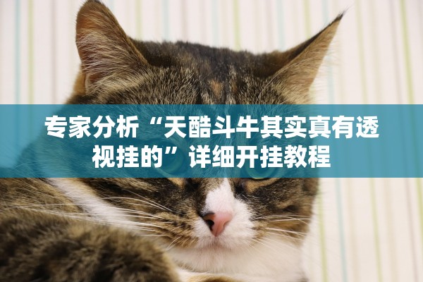 专家分析“天酷斗牛其实真有透视挂的”详细开挂教程