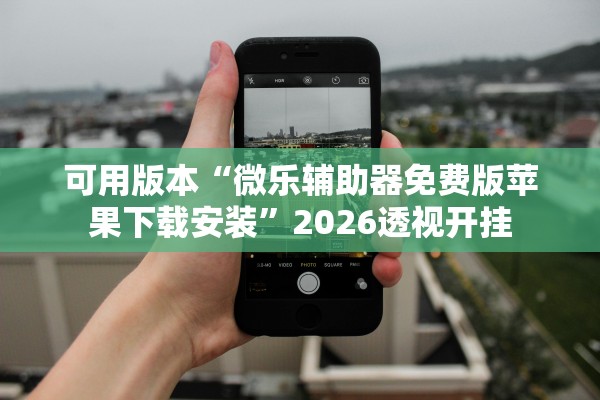 可用版本“微乐辅助器免费版苹果下载安装”2026透视开挂