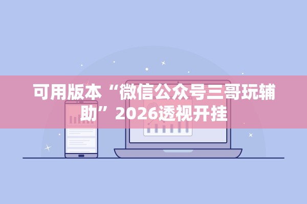 可用版本“微信公众号三哥玩辅助”2026透视开挂