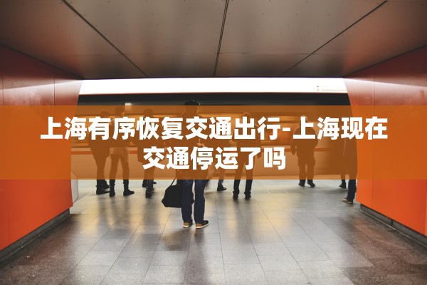 上海有序恢复交通出行-上海现在交通停运了吗