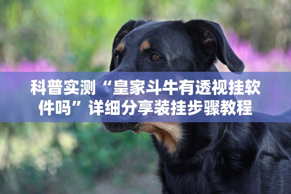 科普实测“皇家斗牛有透视挂软件吗	”详细分享装挂步骤教程